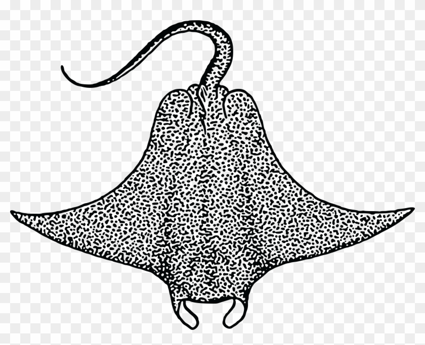 Free Clipart Of A Stingray - Devil Fish Drawing #495574
