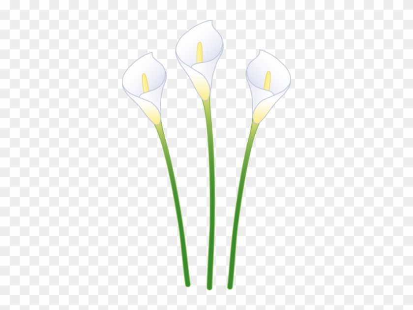 Calla Lily Clipart - Calla Lily Clipart #85678