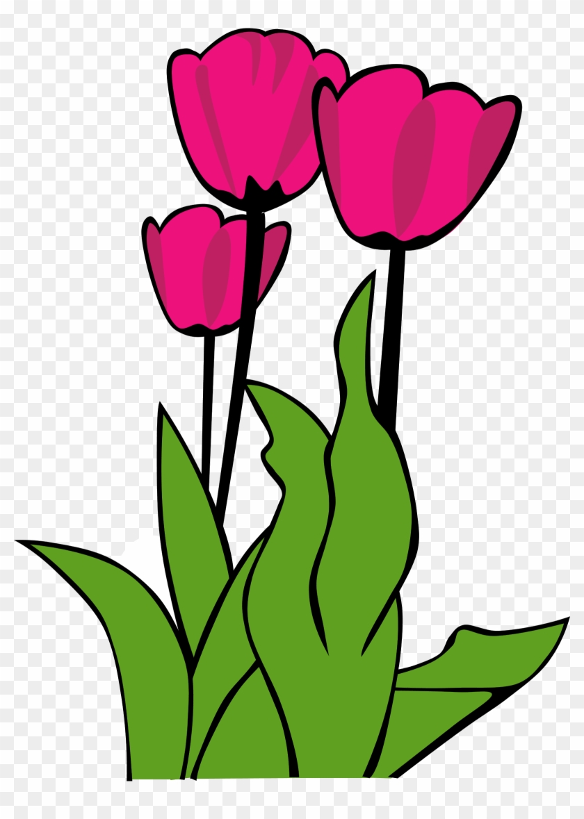 Tulip Clip Art - Tulip Clip Art #90350