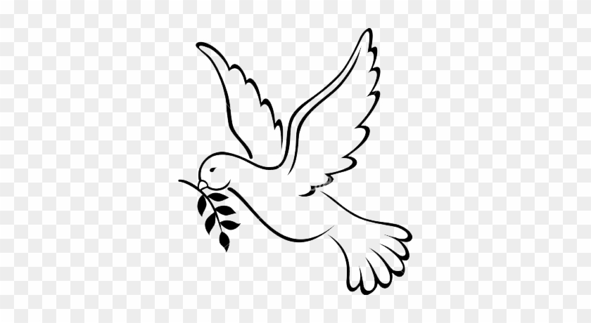 12877 White Dove Drawing Logo Images Stock Photos  Vectors  Shutterstock