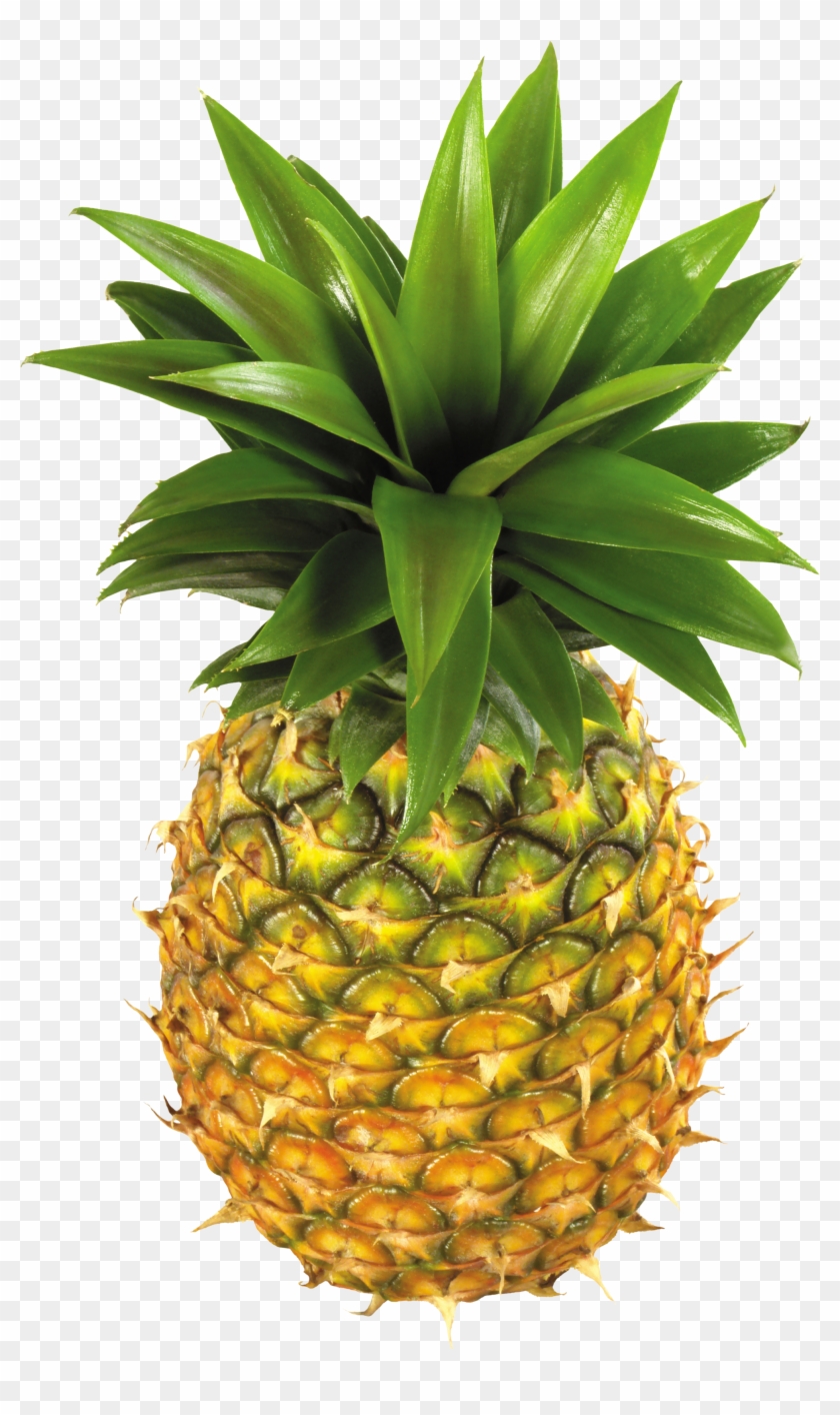 Pineapple Png Clipart Picture - Pineapple Png #507550