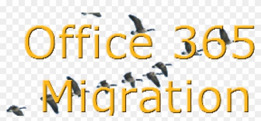 Office 365 Migration - Birds That Fly South For The Winter #518823