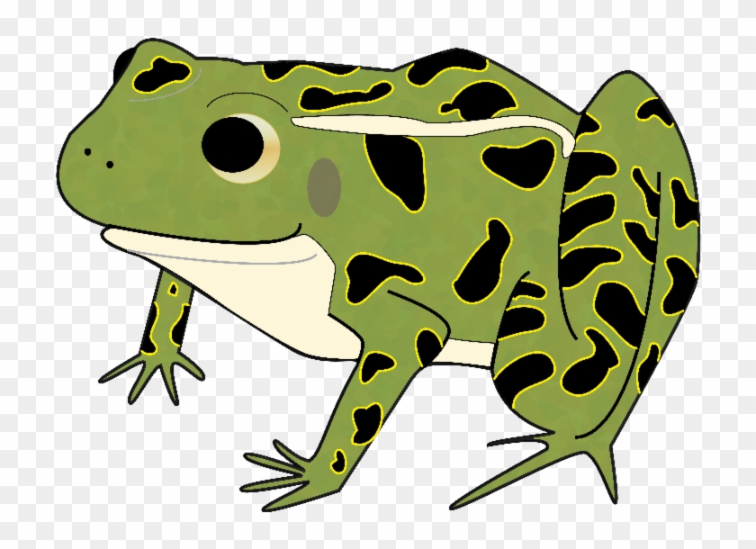 [please Turn On Images] Loren The Leopard Frog - Leopard Frog Clipart #523450