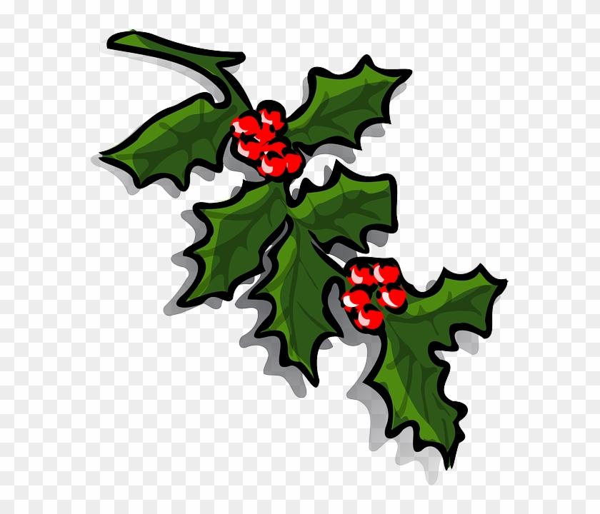 Common Holly Clip Art - Common Holly Clip Art #530369