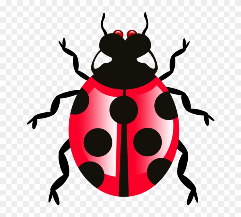 Bug Png - Portable Network Graphics #531322