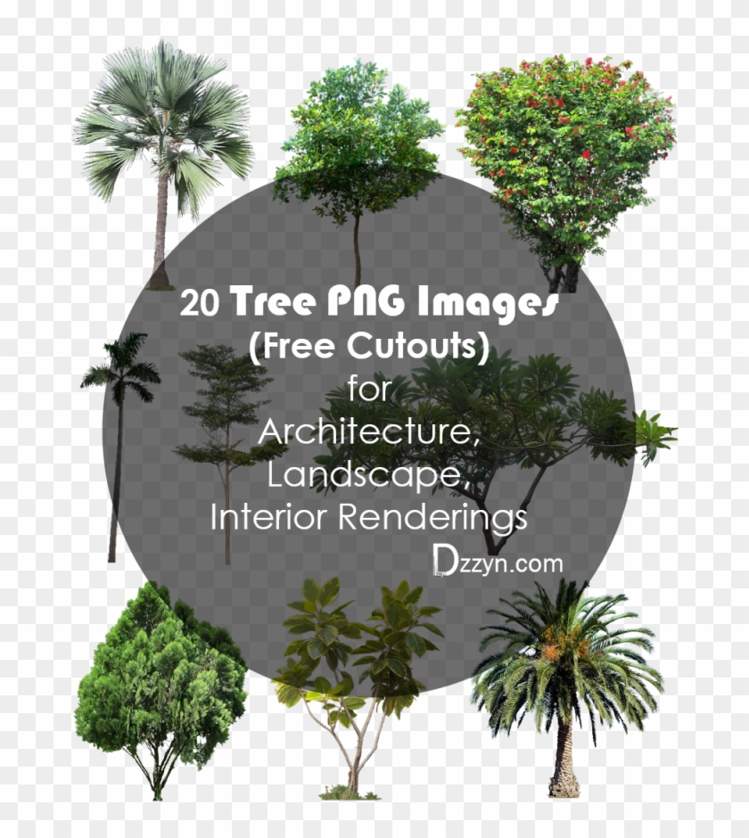 20 Tree Png Images For Architecture, Landscape, Interior - Shrub #531504