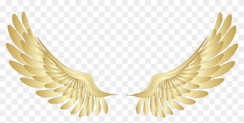 Golden Wings Decor Png Clipart Picture Gallery Yopriceville Angel Wings Png Transparent Free Transparent Png Clipart Images Download - golden wings roblox