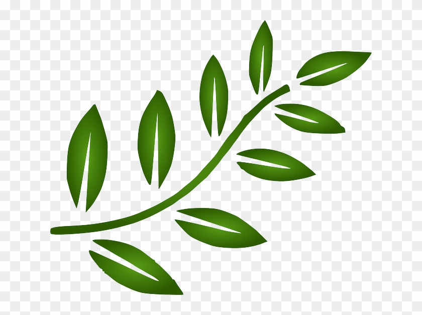 Green Leaf Logo PNG Transparent Images Free Download | Vector Files |  Pngtree