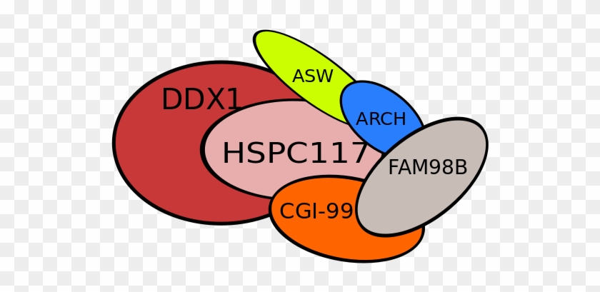 Protein Components - - Circle #534070