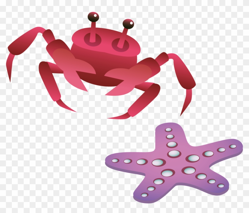 Crab Starfish Png Vector Material - Crab Starfish Png Vector Material #534320
