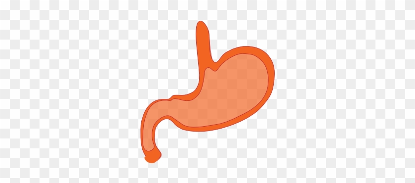 Clip Art Stomach #537015