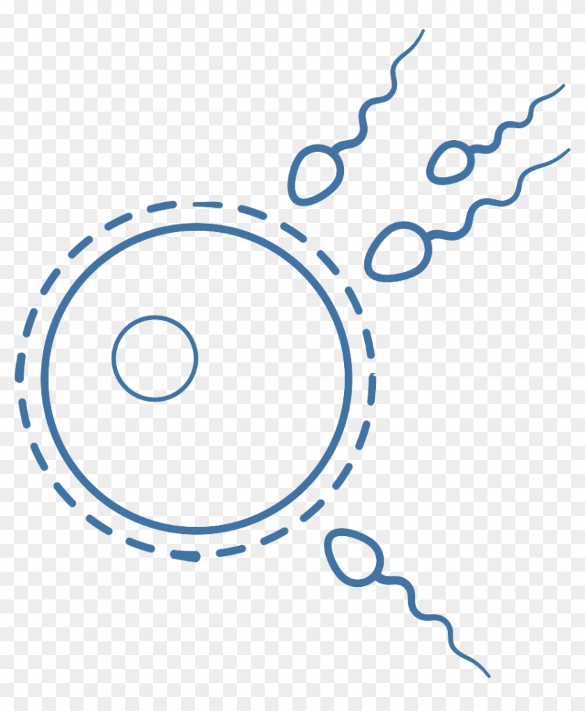 Computer Icons Clip Art - Circle #539029