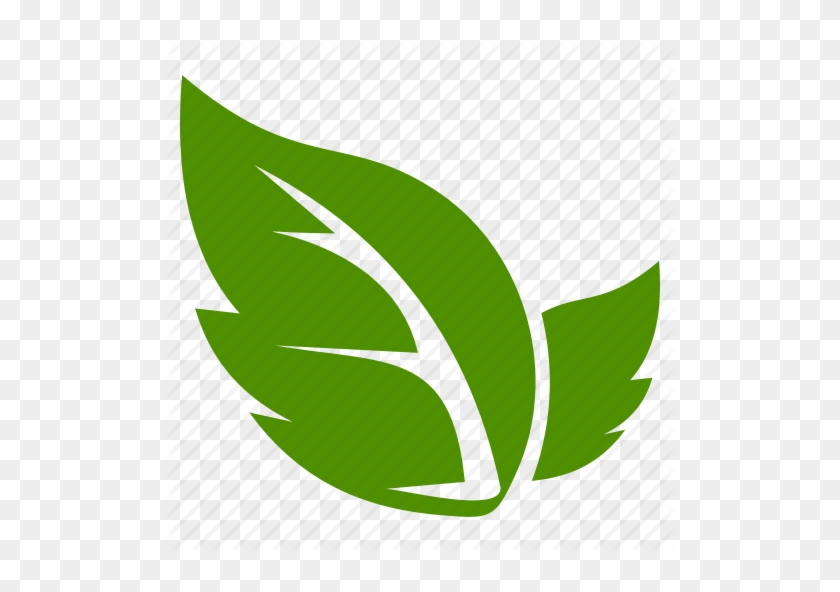 Leaf Icon - Leaf Icon Png #539835