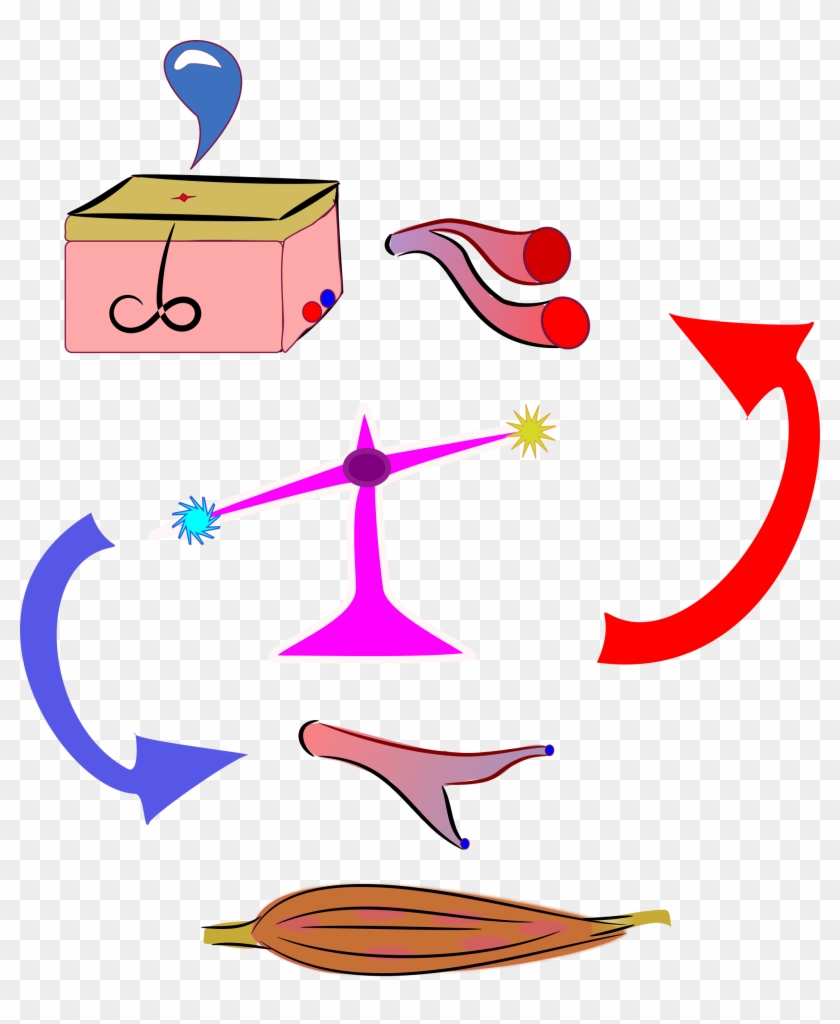 Clipart - - Physiology Clipart #94956