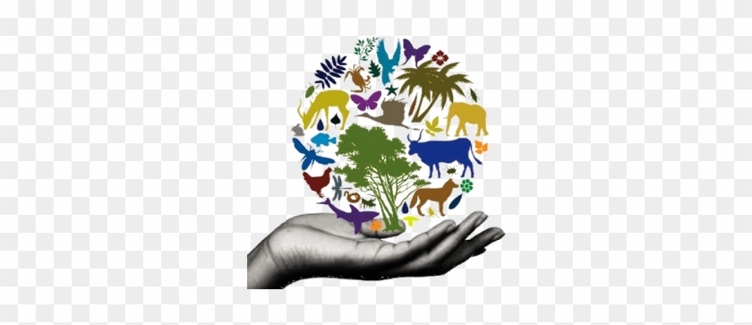 animal conservation clipart