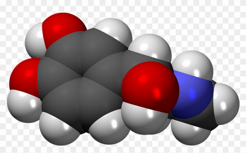 Let's Talk About Hormones What Are They - Epinefrina Hormona #545731