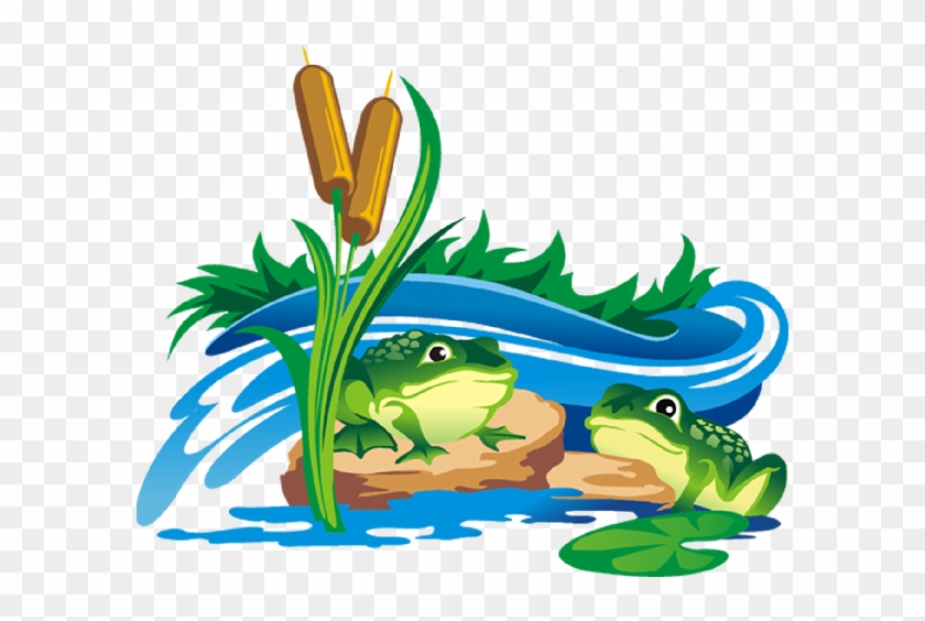 Funny Frog Cartoon Animal Clip Art Images - Transparent Background Frogs Clipart Transparent #548445