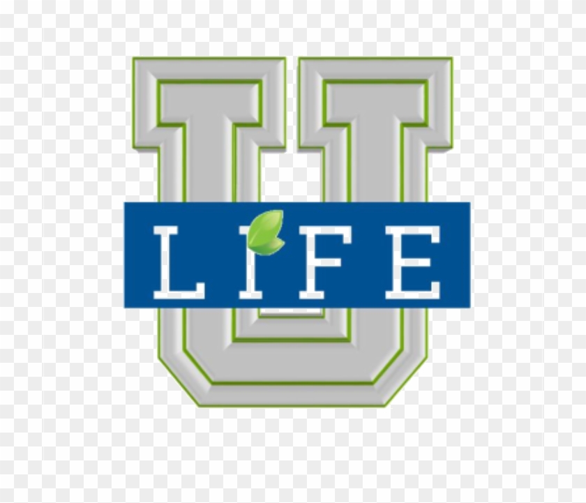 Life University - Blue #549527