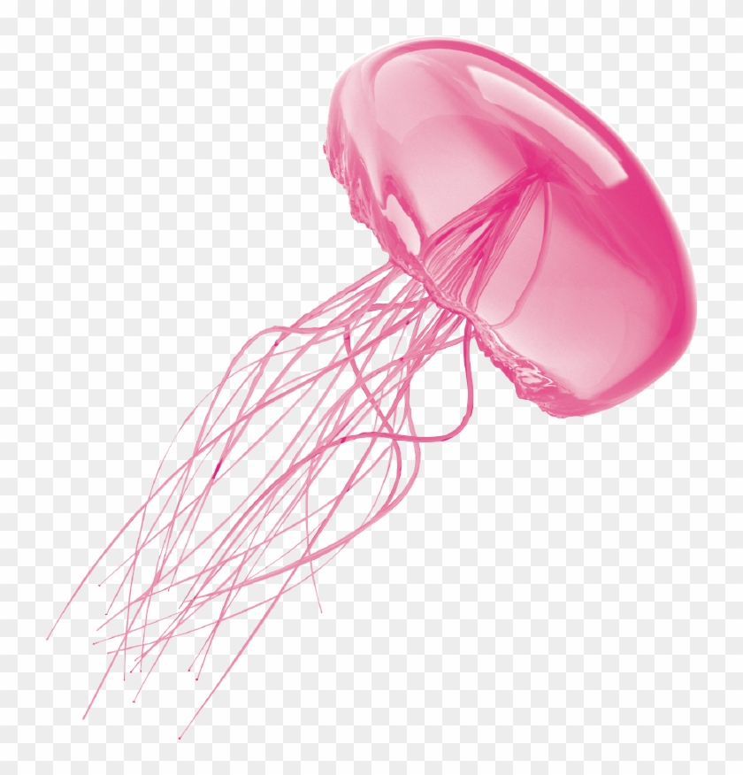 Jellyfish Clipart Transparent Background - Jellyfish Transparent Background #550760