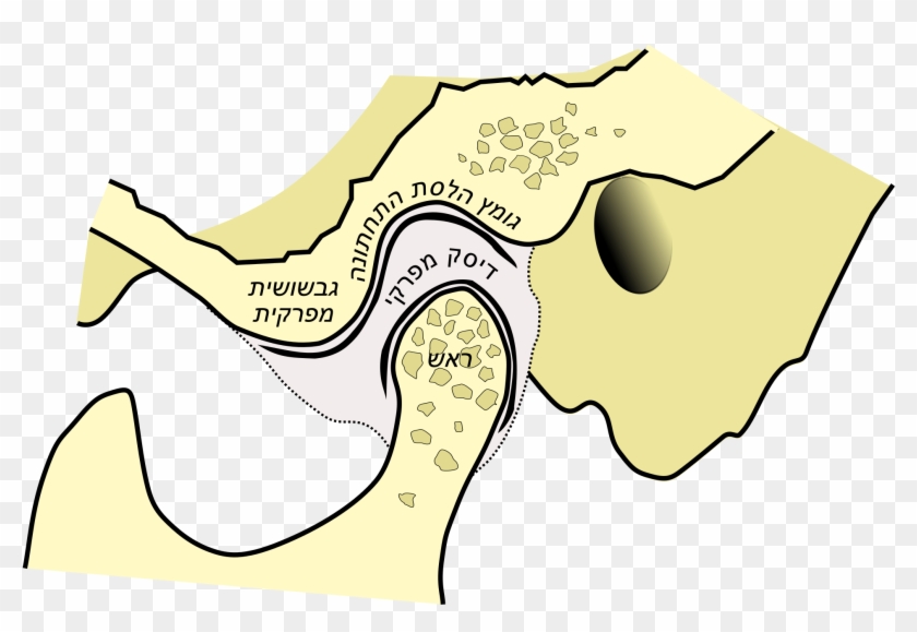 Open - Tmj Vector #551878