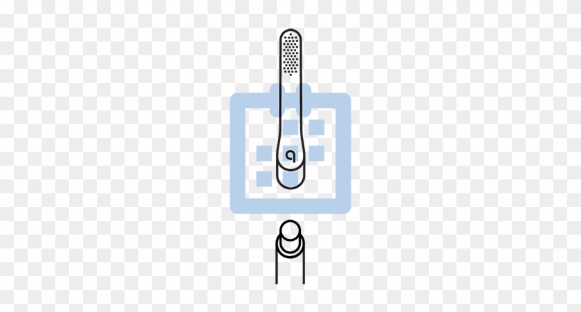 Bristles Head - Illustration #552059