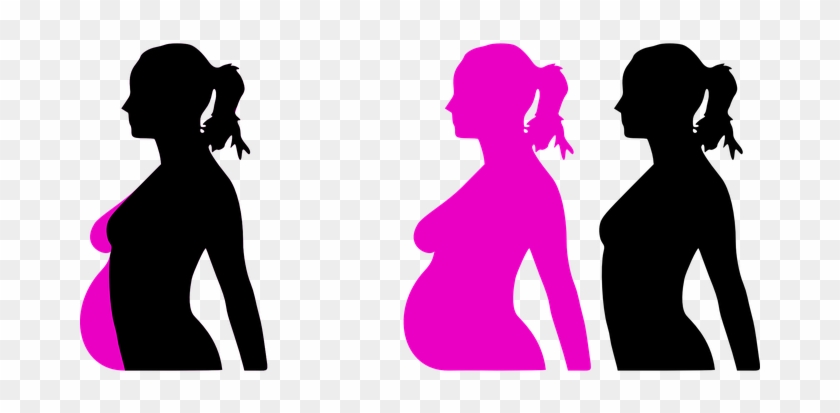 Pregnancy Reproduction Months Profile Lady - Pregnant Clip Art #555103