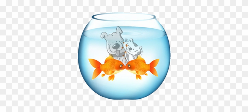 goldfish bowl png