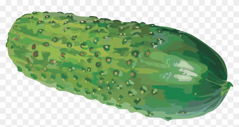 Cucumber Clipart Transparent - Cucumber Clipart Without Background #564096