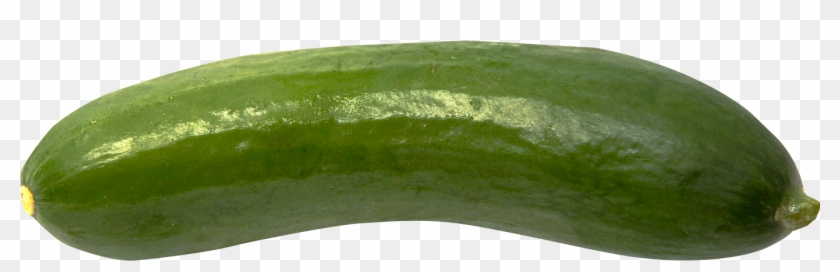 Cucumber Png Transparent Images - Cucumber Png #564189