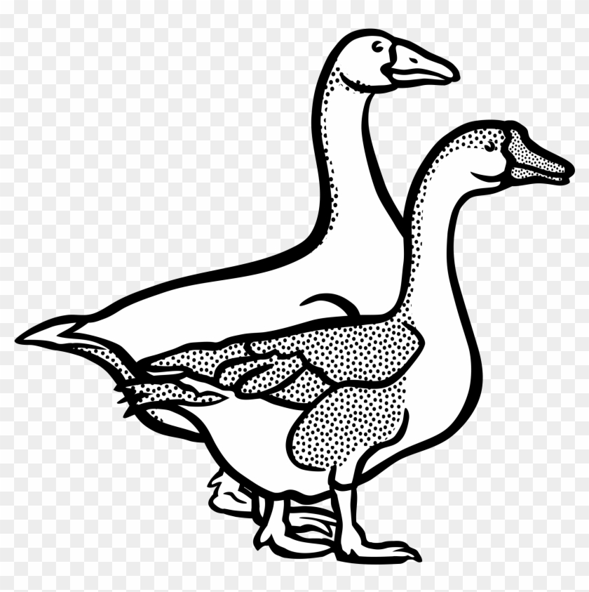 Geese - Lineart - Goose Line Art #567628