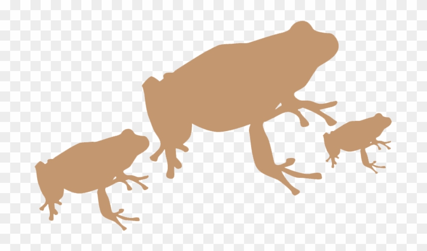 Family - Cool Realistic Toad Sticker #567697