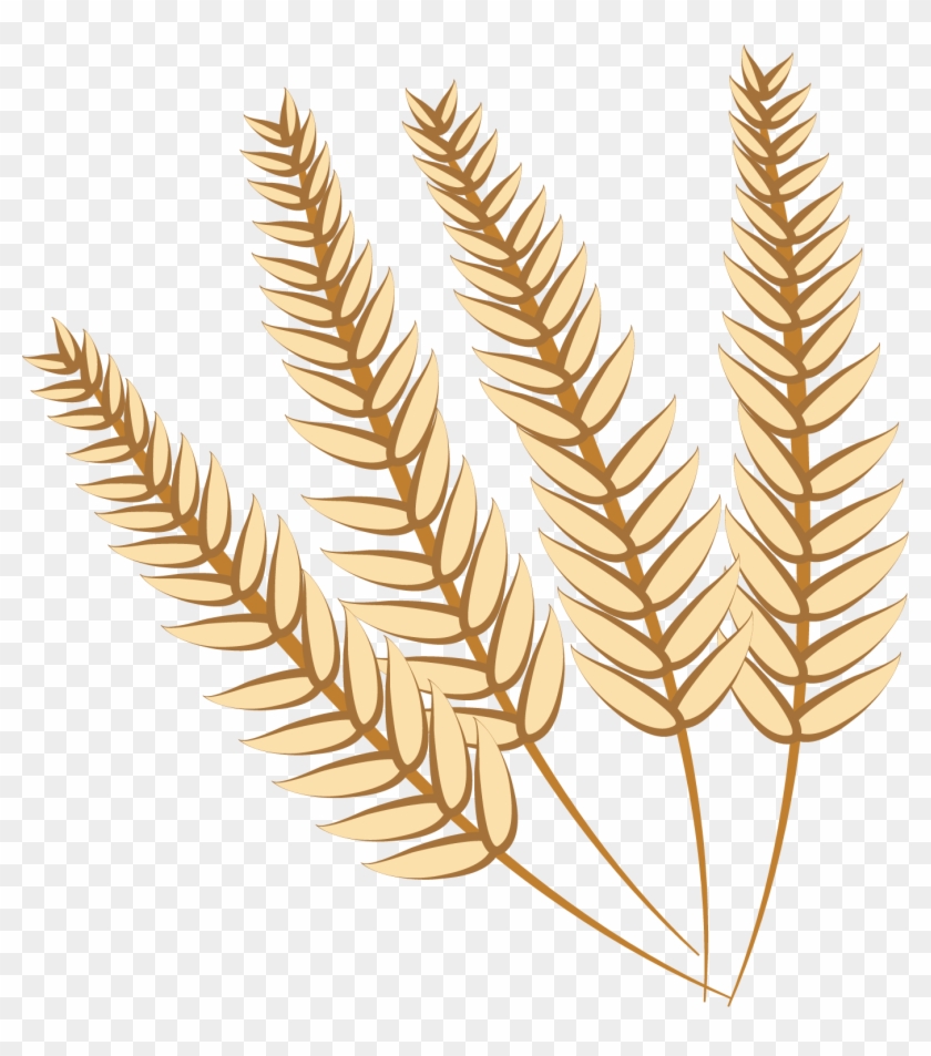Food Grain Wheat - Wheat Png Vector Brown #567847