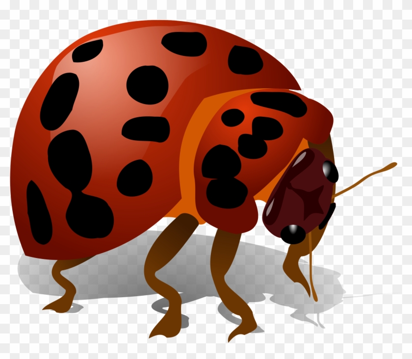 Bug Clipart Transparent - Bug Clip Art #569634