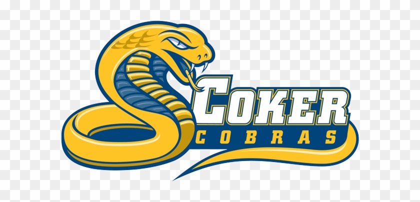 Coker College - Coker College Athletics Logo Png #572783