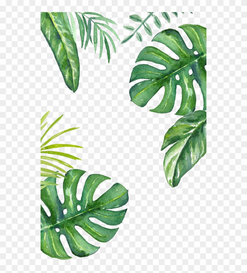Cute plant lover iPhone wallpaper  Premium Photo Illustration  rawpixel