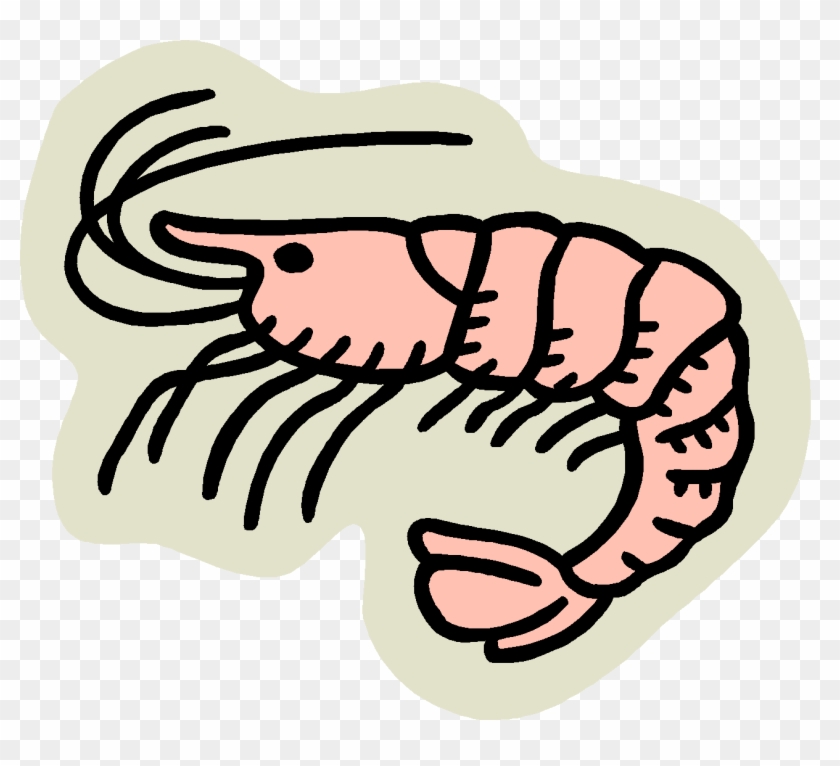 Pin Seafood Clipart Free - Clip Art Shrimp - Free Transparent PNG ...