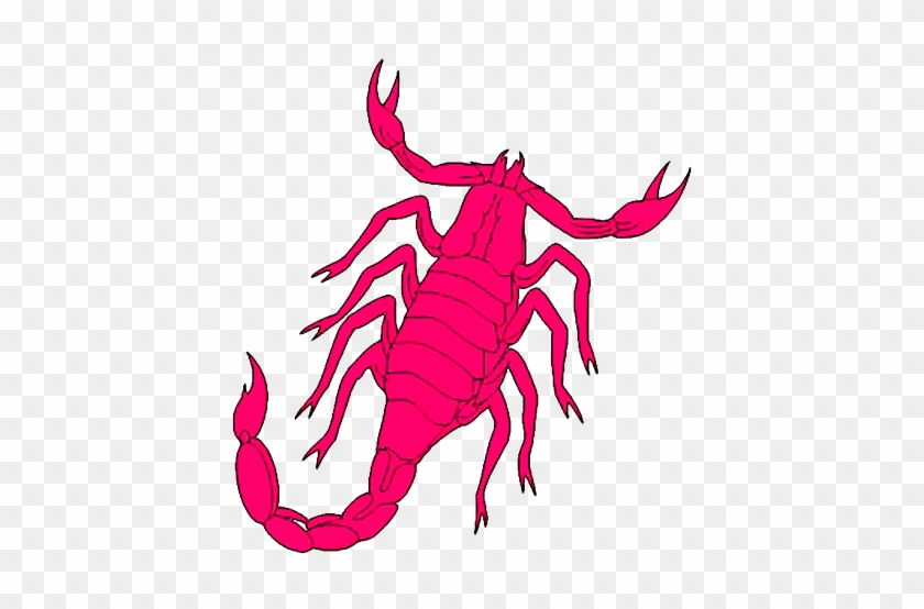 برج scorpio Scorpio برج