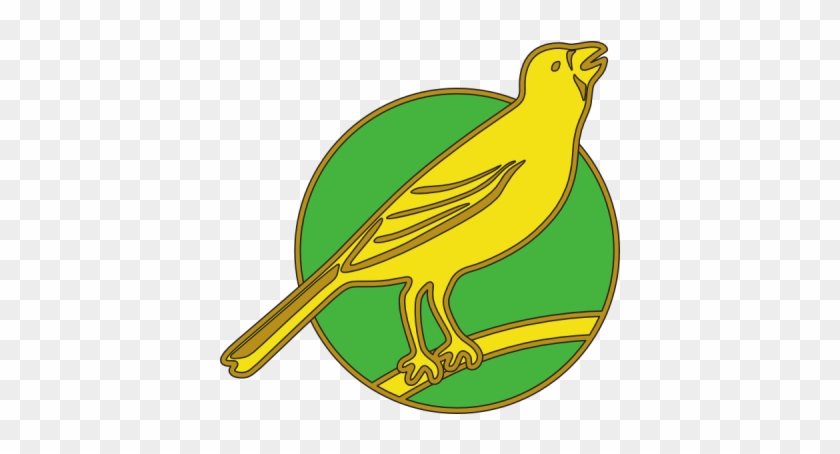 Norwich City F C Png Image - Norwich City F C Png Image #578781