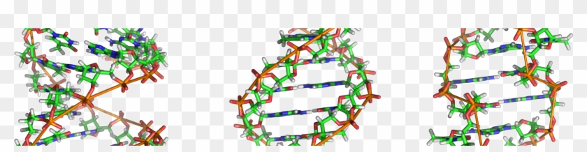 My Personal Gene Map - Many Atoms In Dna #578963