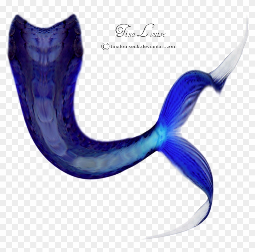 Mermaid Tail Png Transparent Images - Mermaid Tail Hd #579342