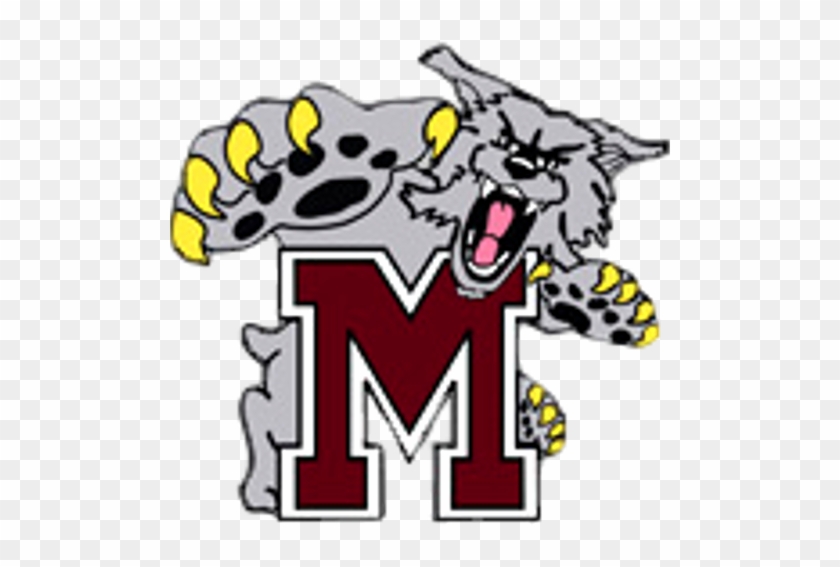 School Logo Image - Mechanicsburg #580103