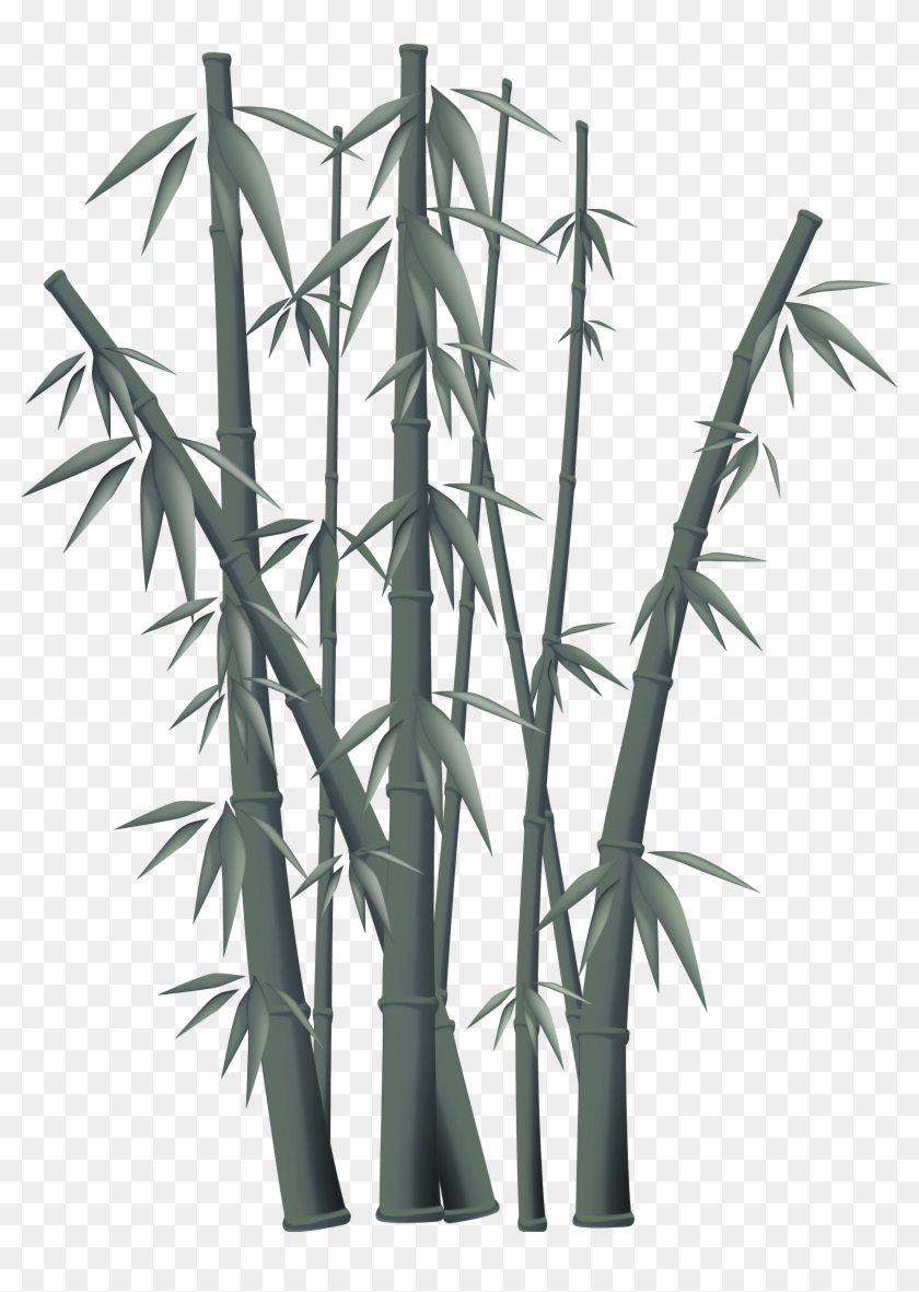 Bamboo Free Content Clip Art - Bamboo Png #581296