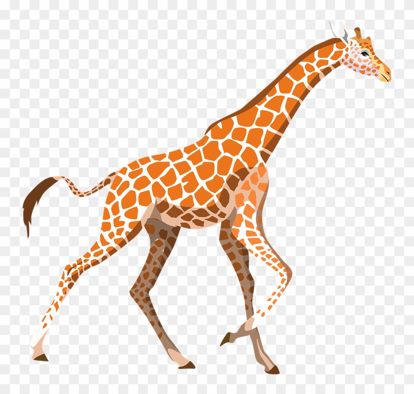 Zoo Animal Clipart 12, - Giraffe Clipart Pixabay #581511