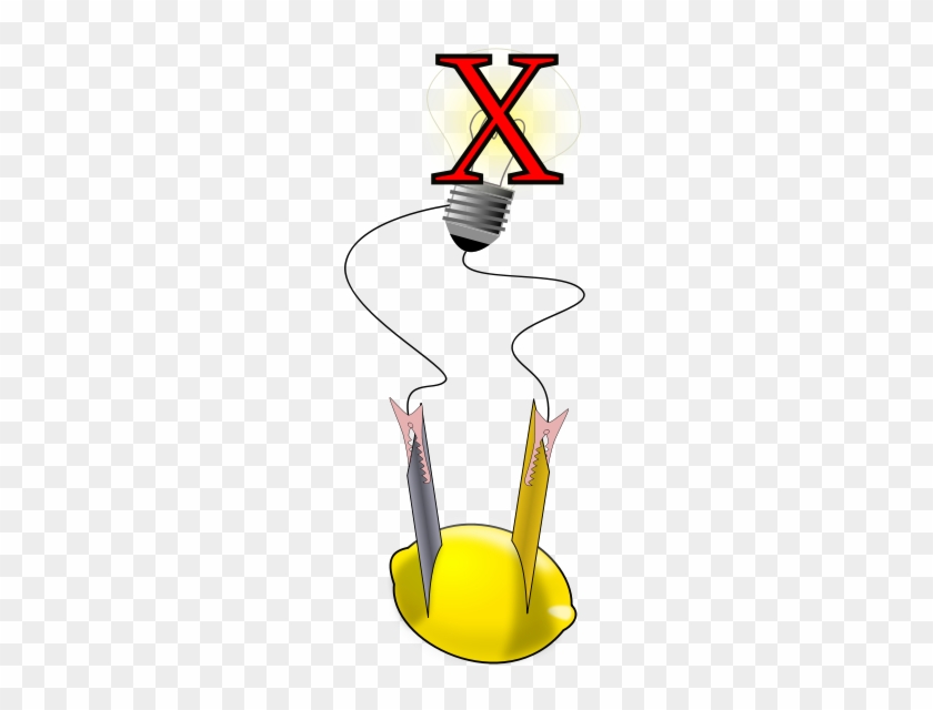 A Lemon Cell Battery Is Made With Two Metallic Electrodes - A Lemon Cell Battery Is Made With Two Metallic Electrodes #584999