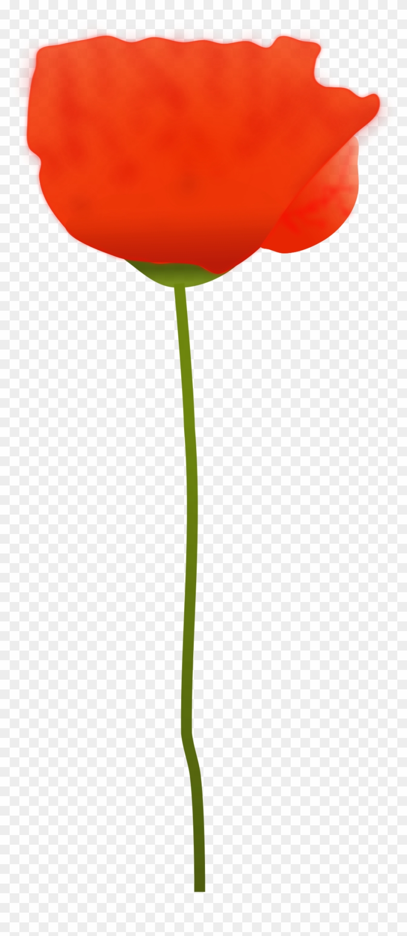 Clipart - Free Picture Of A Poppy Flower #586447