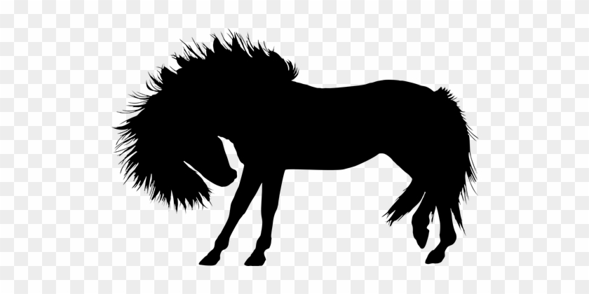 Animal Equine Horse Silhouette Stallion Wi - Horse Silhouette #596482