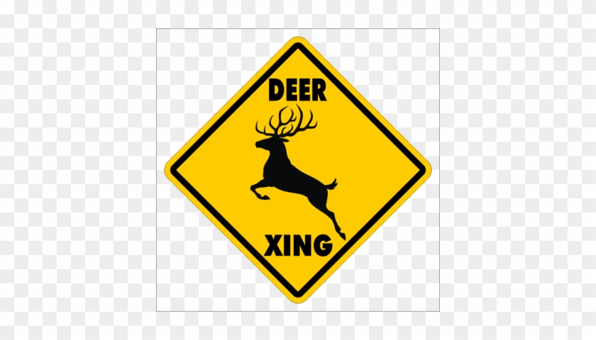 Deer Crossing~funny Novelty Xing Gift Sign - Wild Turkey Crossing Street #598836