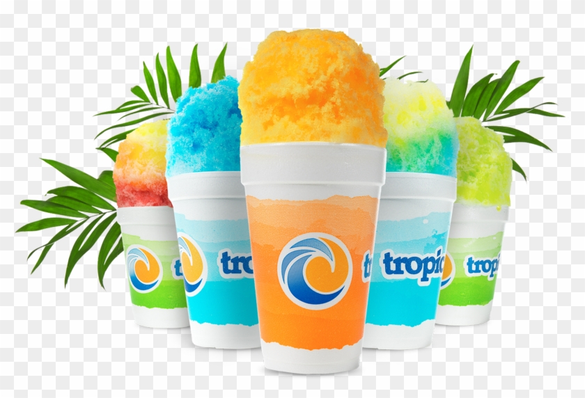 Tropical Sno #600426