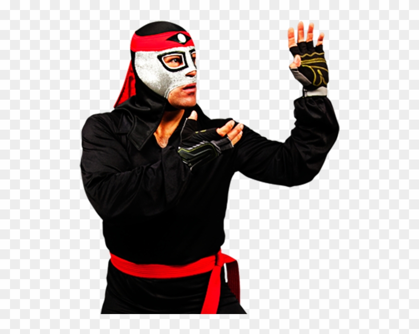 Luchador Wrestler Download - Octagon Aaa Lucha Libre #604482