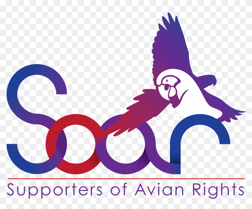 Supporters Of Avian Rights - Illustration #604734